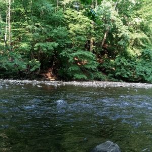 Meet your Posher, Ma